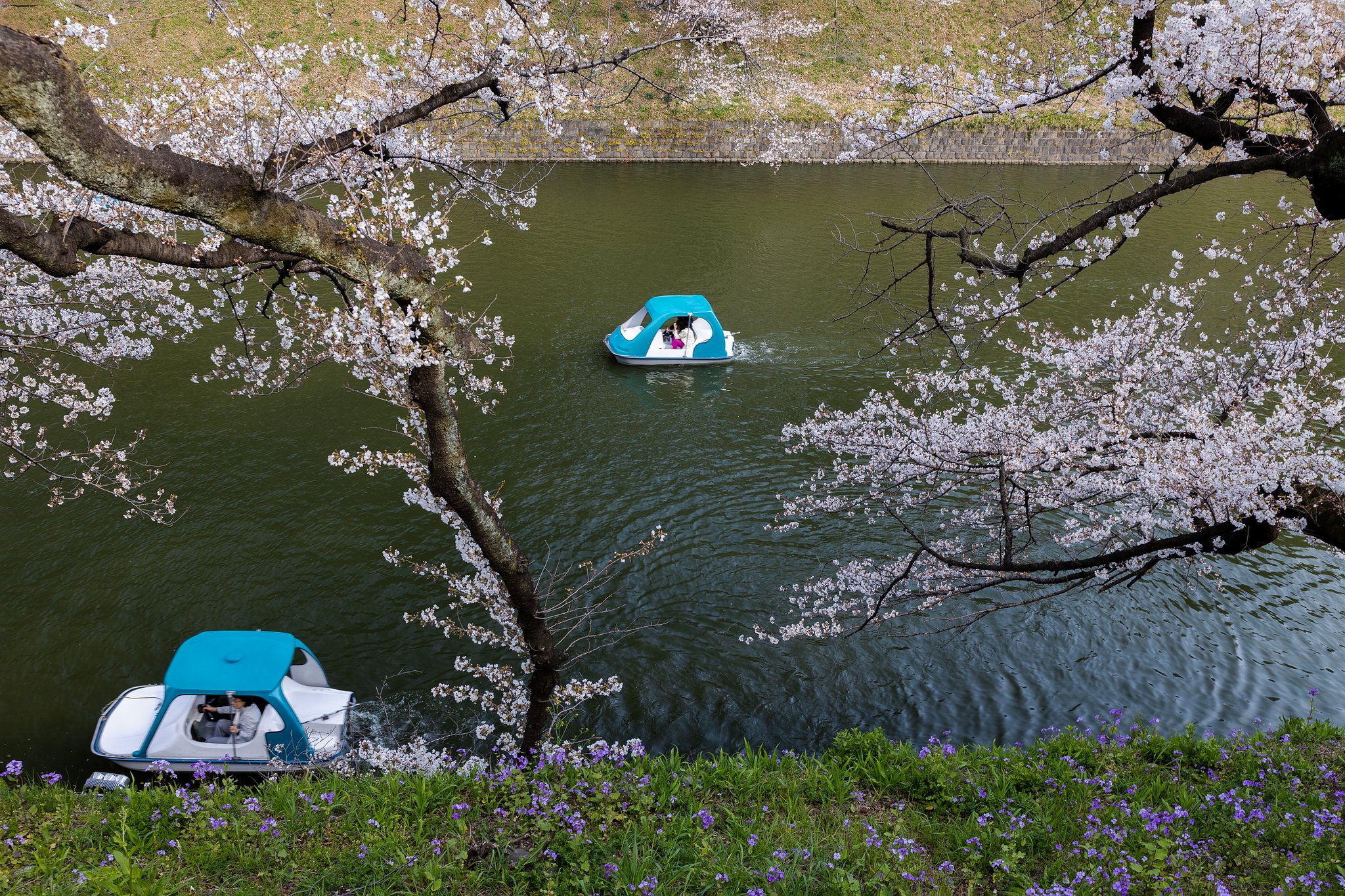 EF24-70mm f/4L IS USM