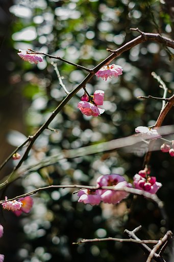 FYJINON XF35mmF1.4 R