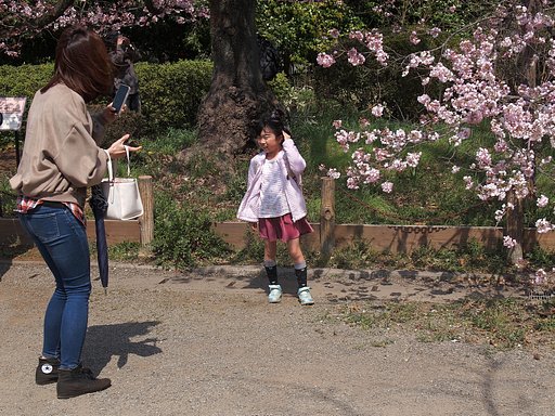 桜の下で(なにか気になるモデル)