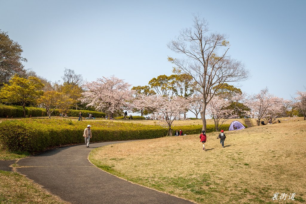 休日の若宮公園