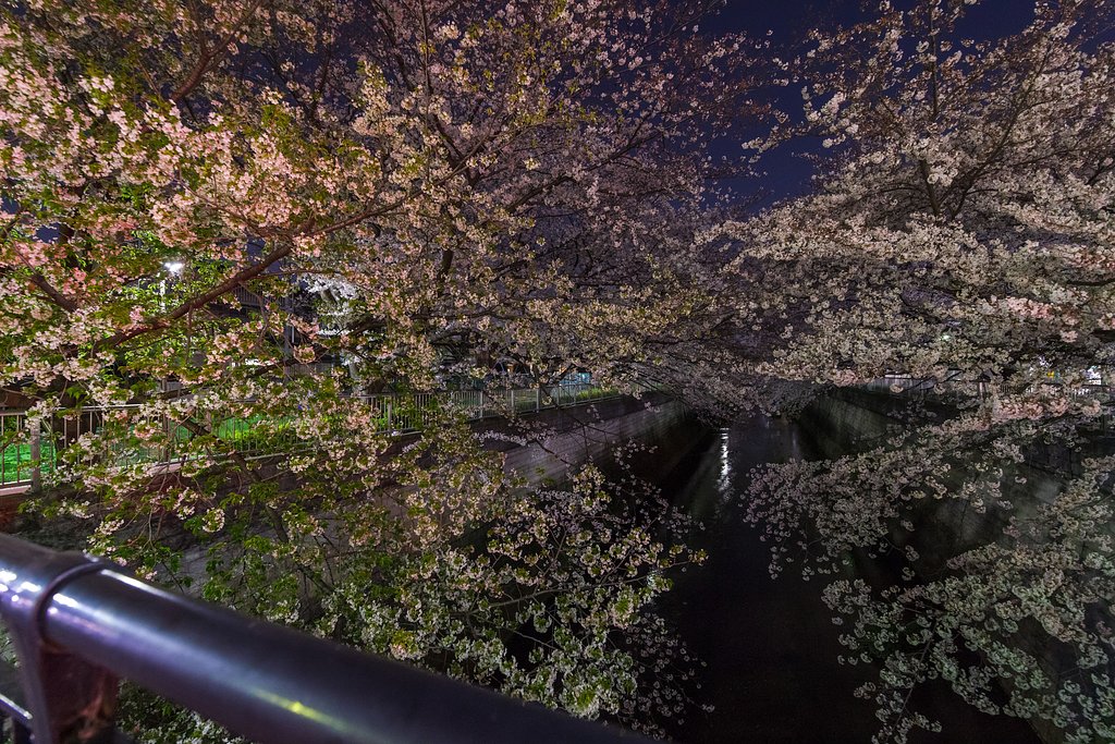 橋の上から