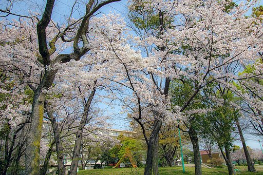 ４月から５月のお題は？？？