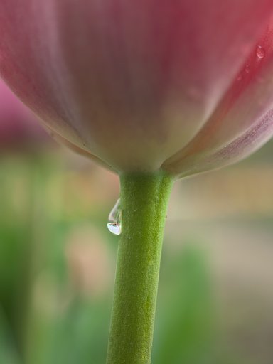 ED 30mm F3.5 Macro