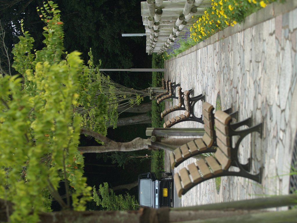 試写