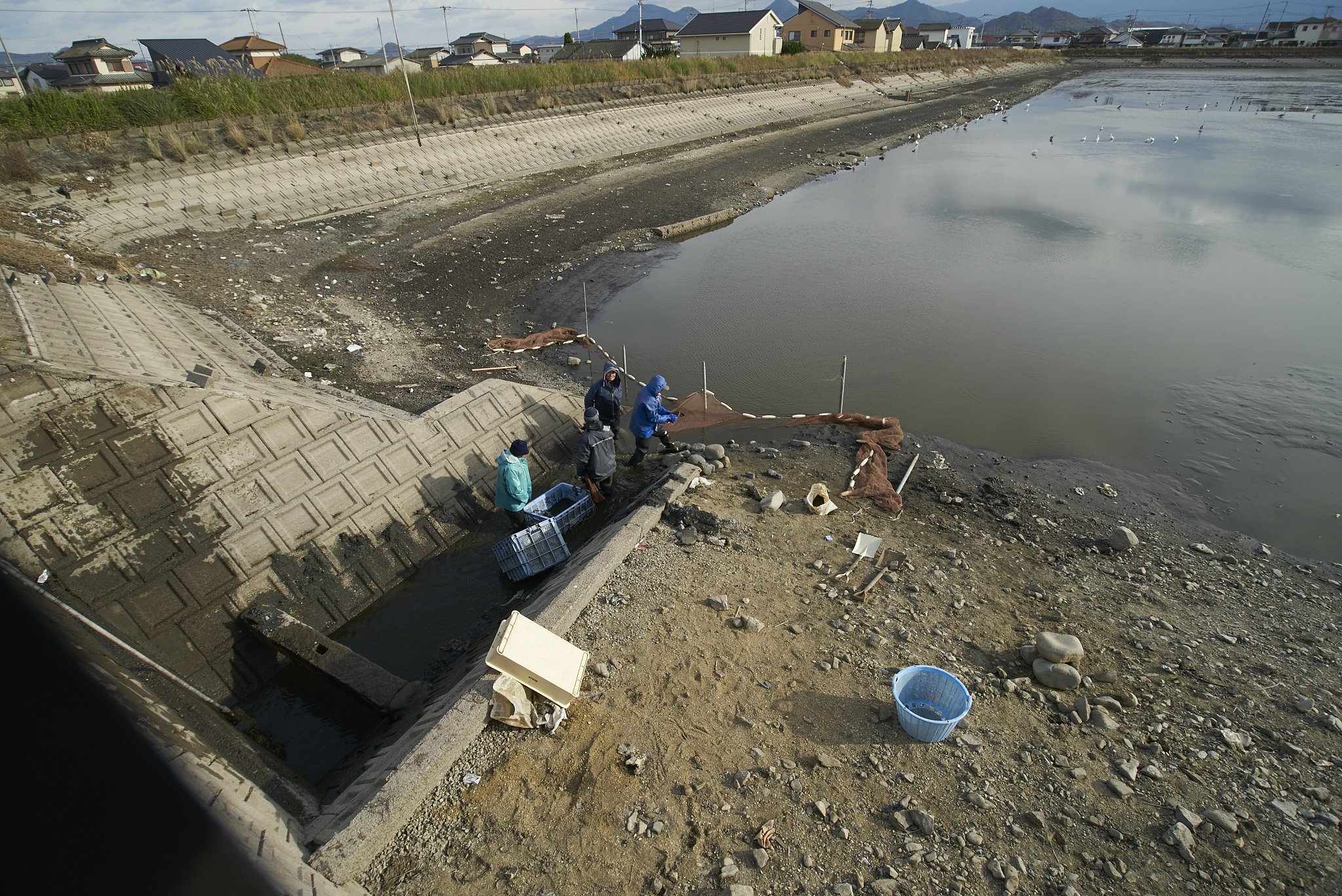 涸れ池