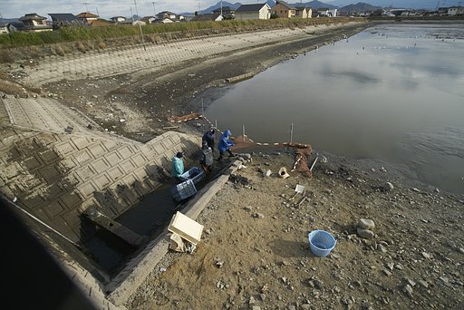 涸れ池