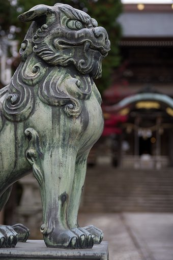 SIGMA 17-50mm F2.8 EX DC HSM 