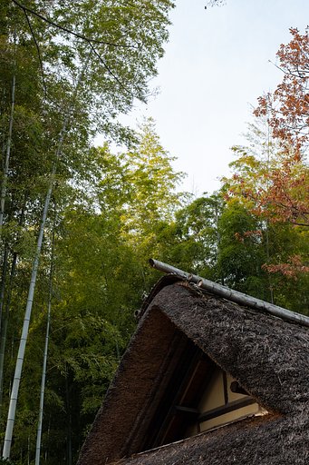 FUJINON XF35mmF1.4 R