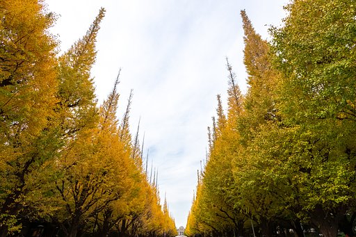 EF16-35mm F2.8 L