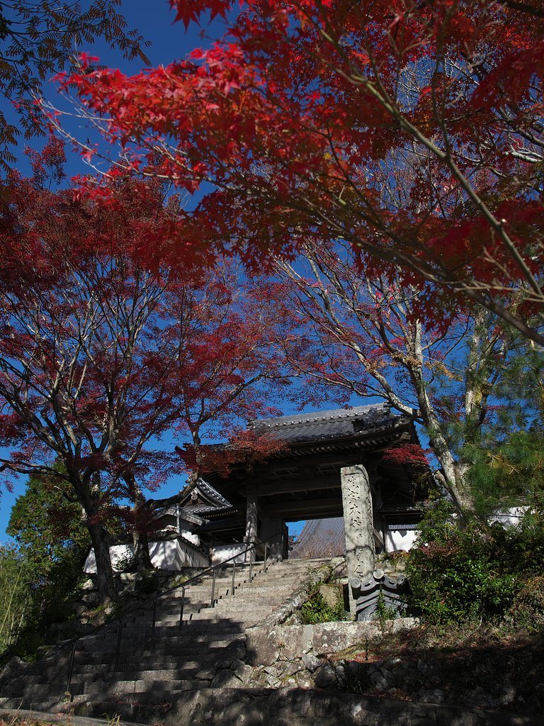ED17mm F1.2 Pro