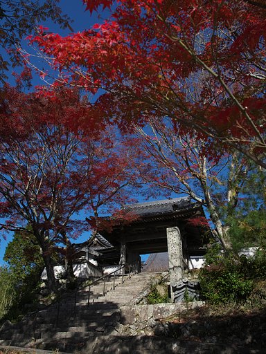 ED17mm F1.2 Pro