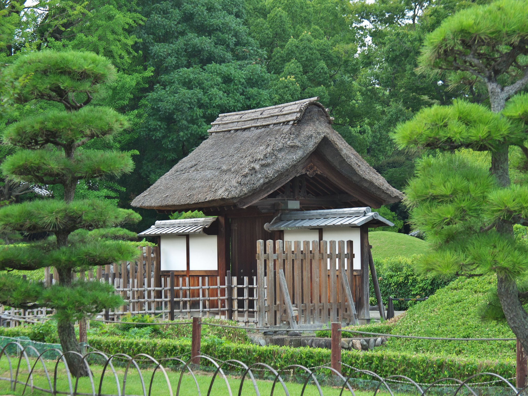 裏門