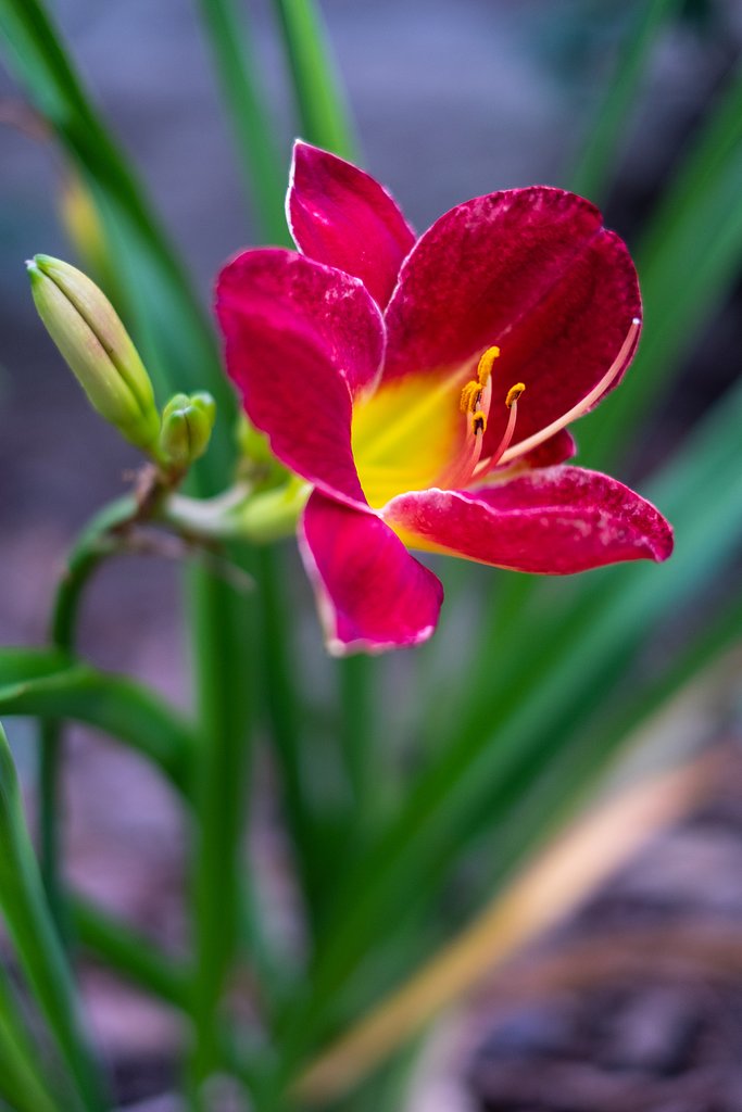 FUJINON XF35mm F1.4 R