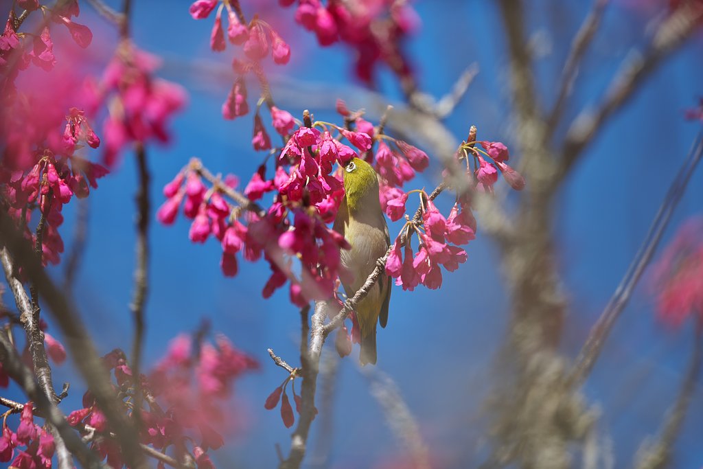 EF300mm F2.8L IS
