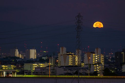 【だいだい】月
