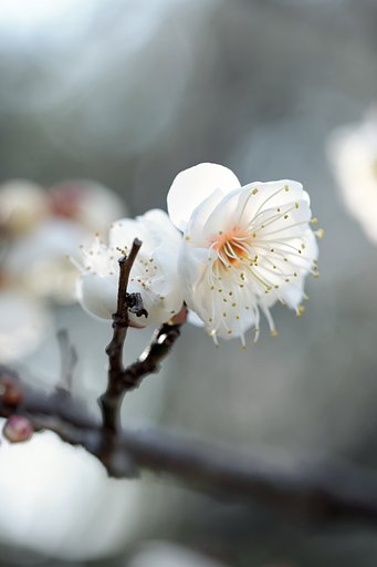 お天気回復