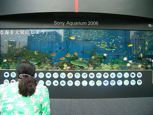 『淡』沖縄の海