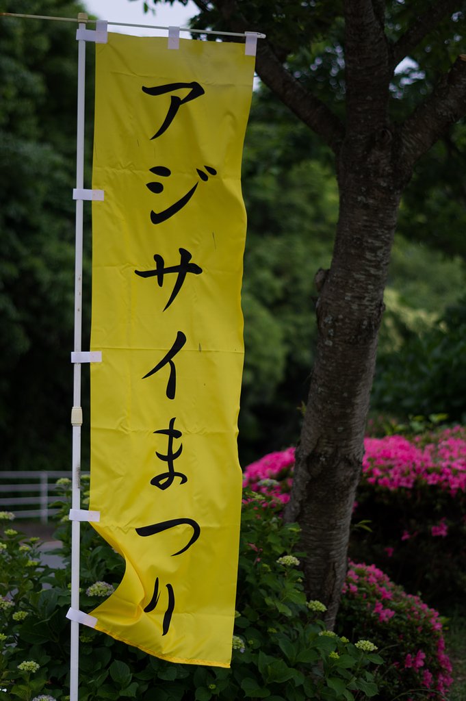 のぼり