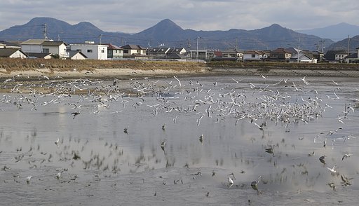 涸れ池