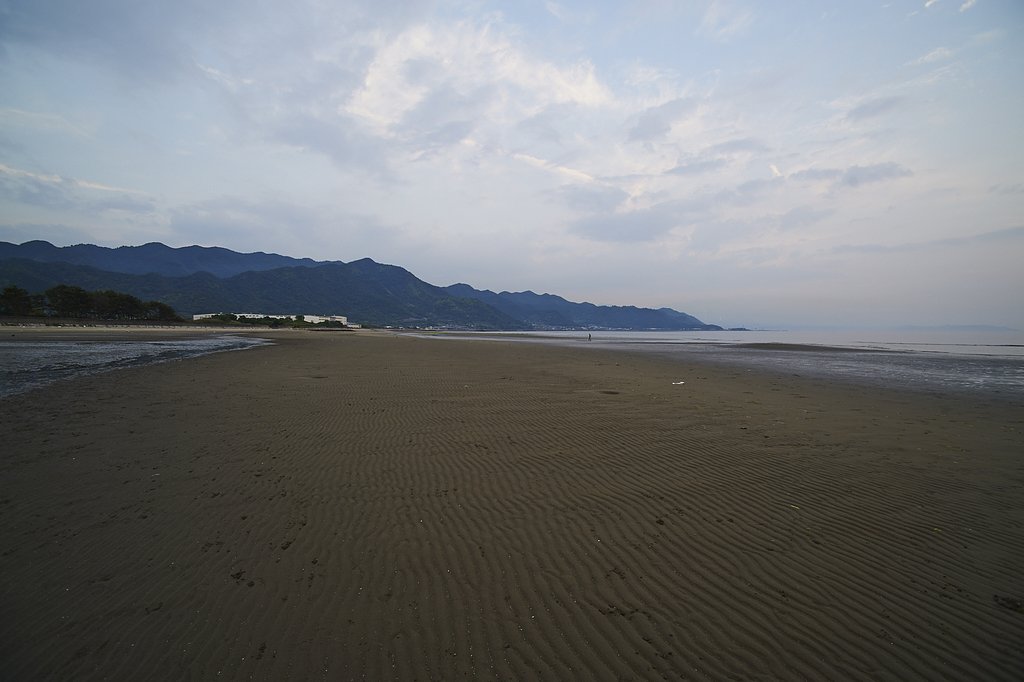 散歩撮影