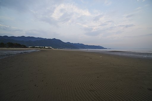 散歩撮影