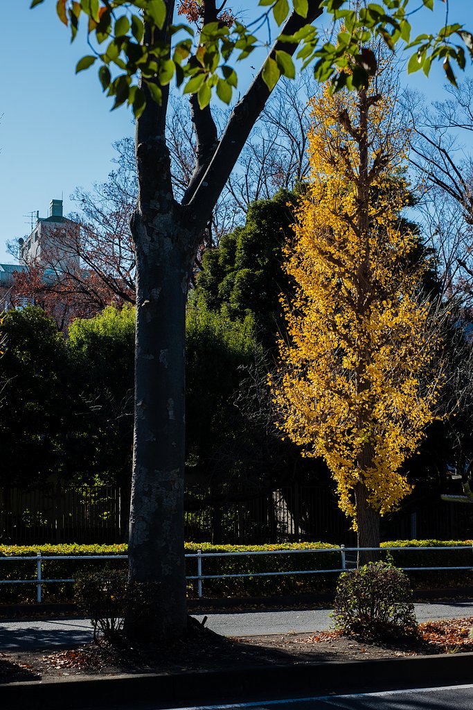 FUJINON XF35mmF1.4 R