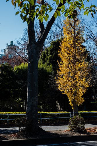 FUJINON XF35mmF1.4 R