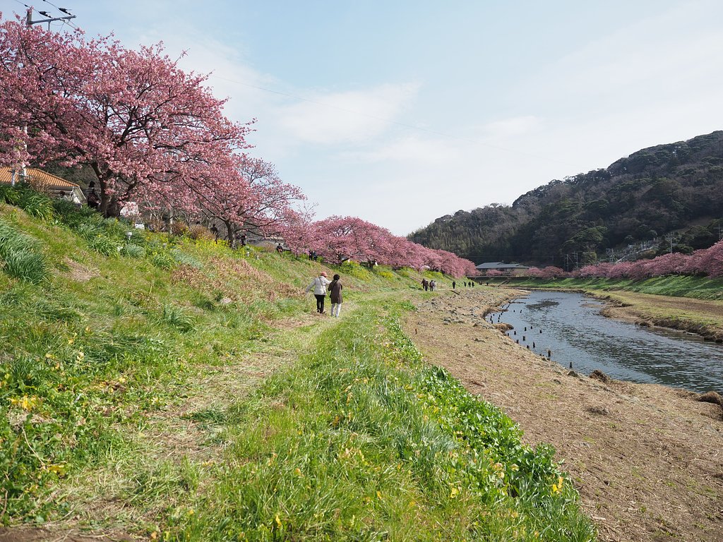 春の道