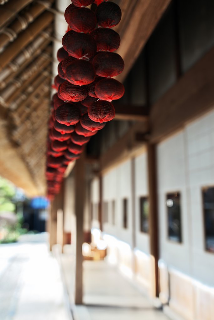 柚餅子