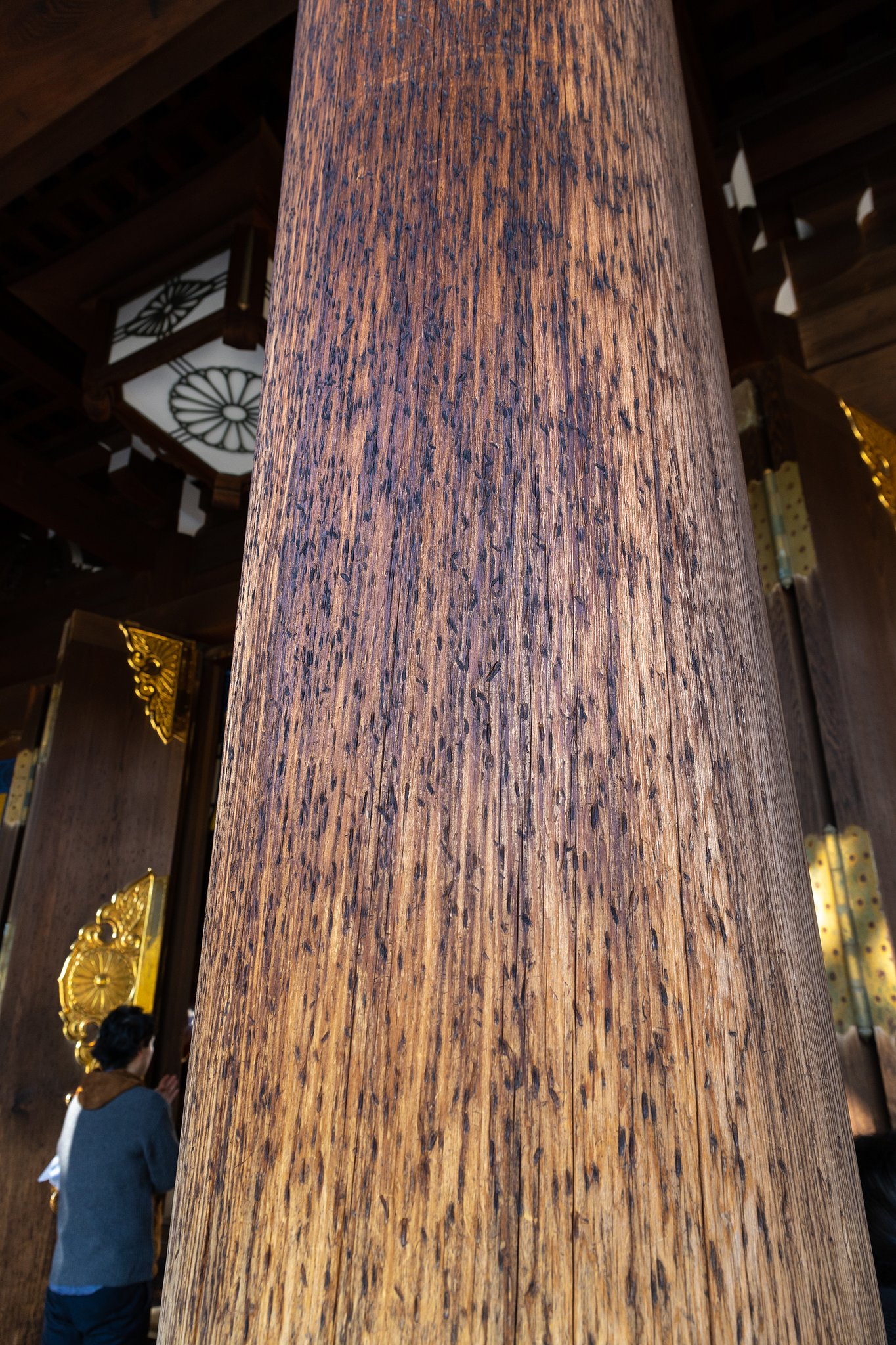 EF24-70mm f/4L IS USM