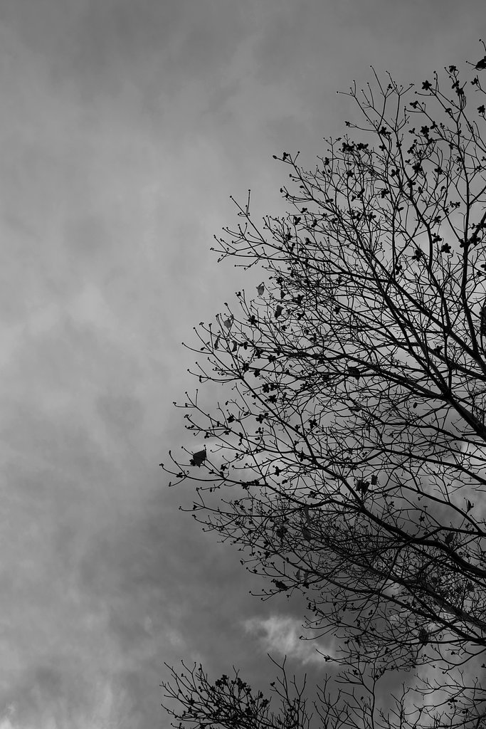 雲