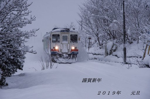 謹賀新年_猪突猛進
