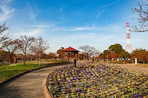 緑地公園