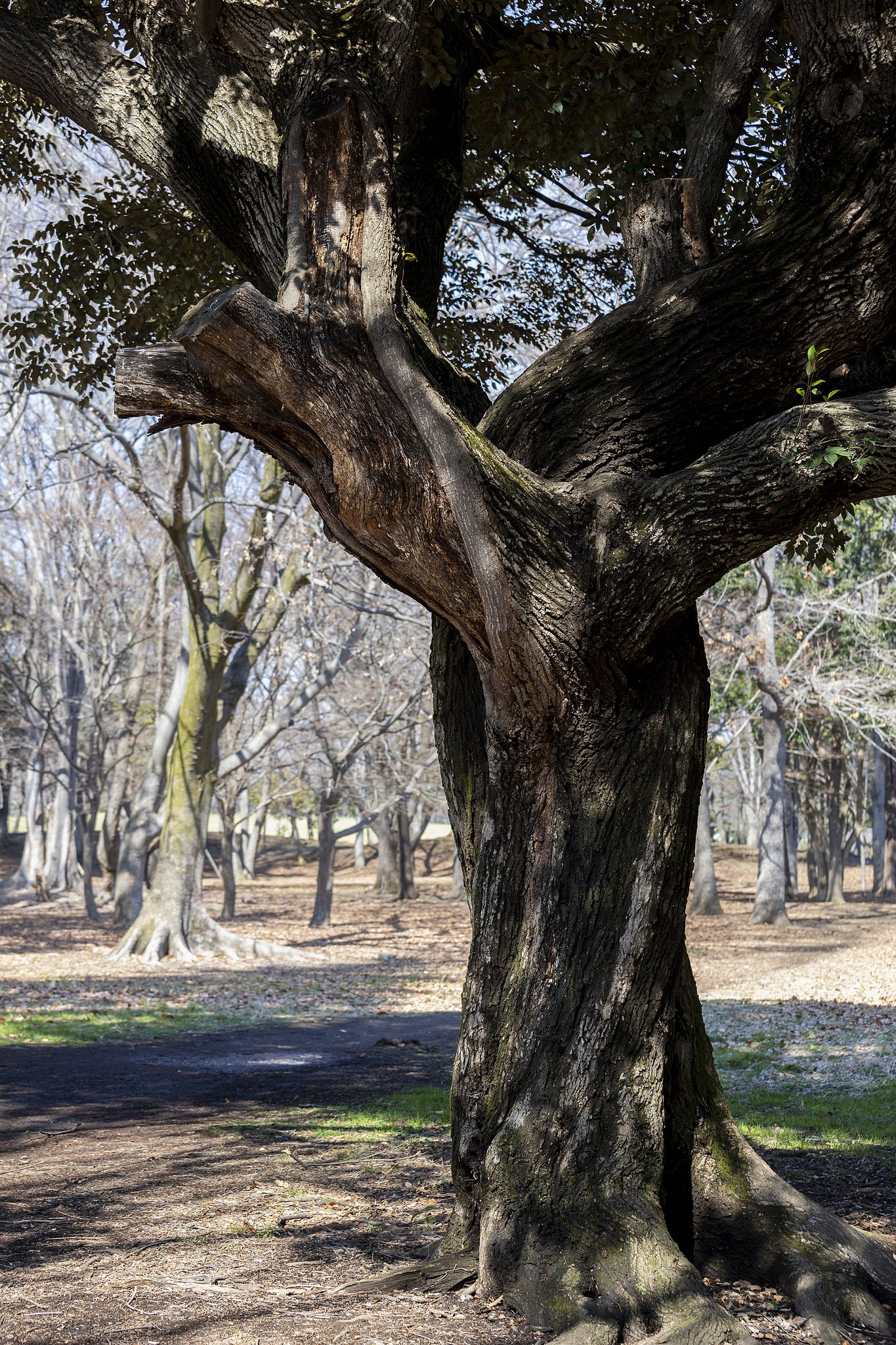 EF70-200mm f/4L IS USM