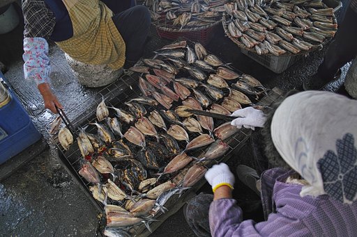 初夏の飛島 5
