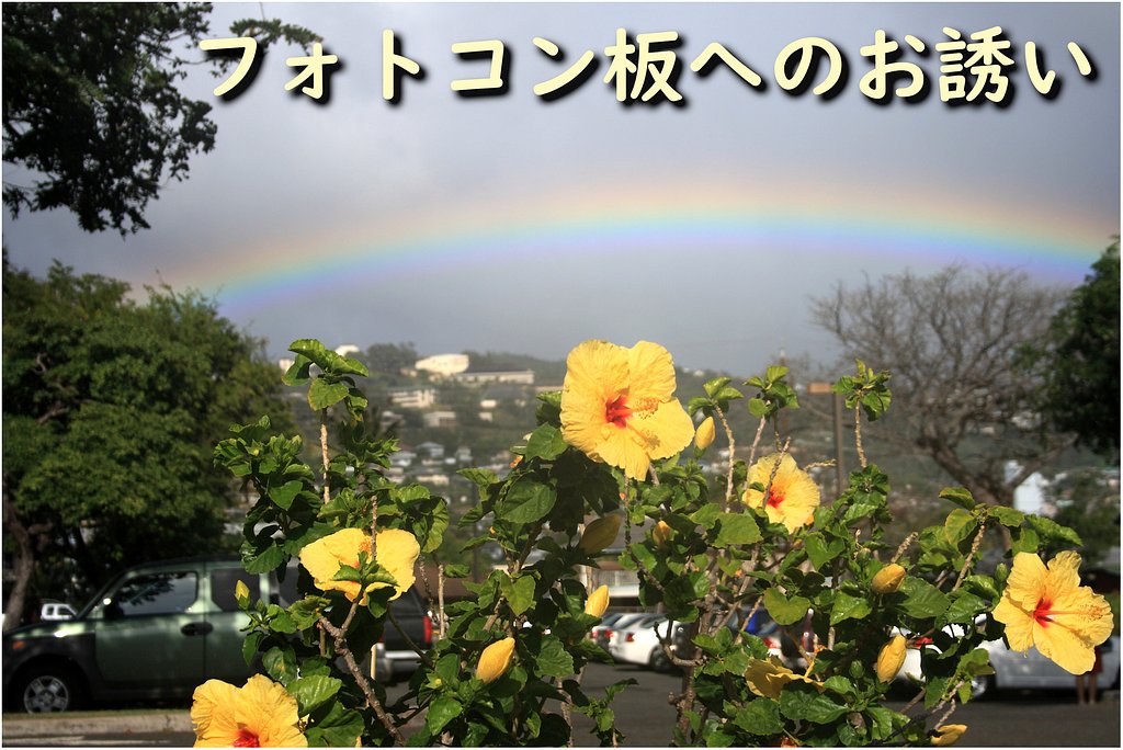 今月のフォトコンへのお誘い