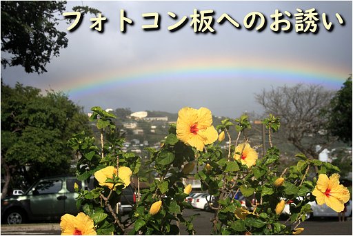 今月のフォトコンへのお誘い