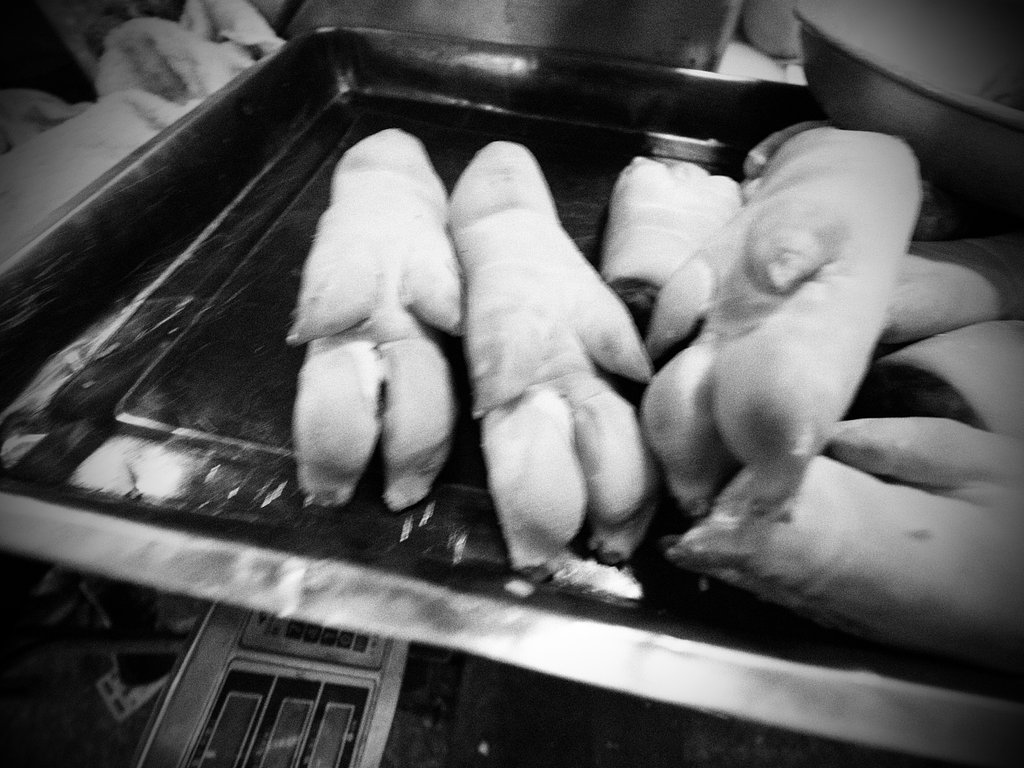 pig's feet
