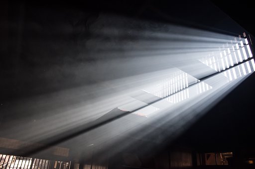 1月7日の写真