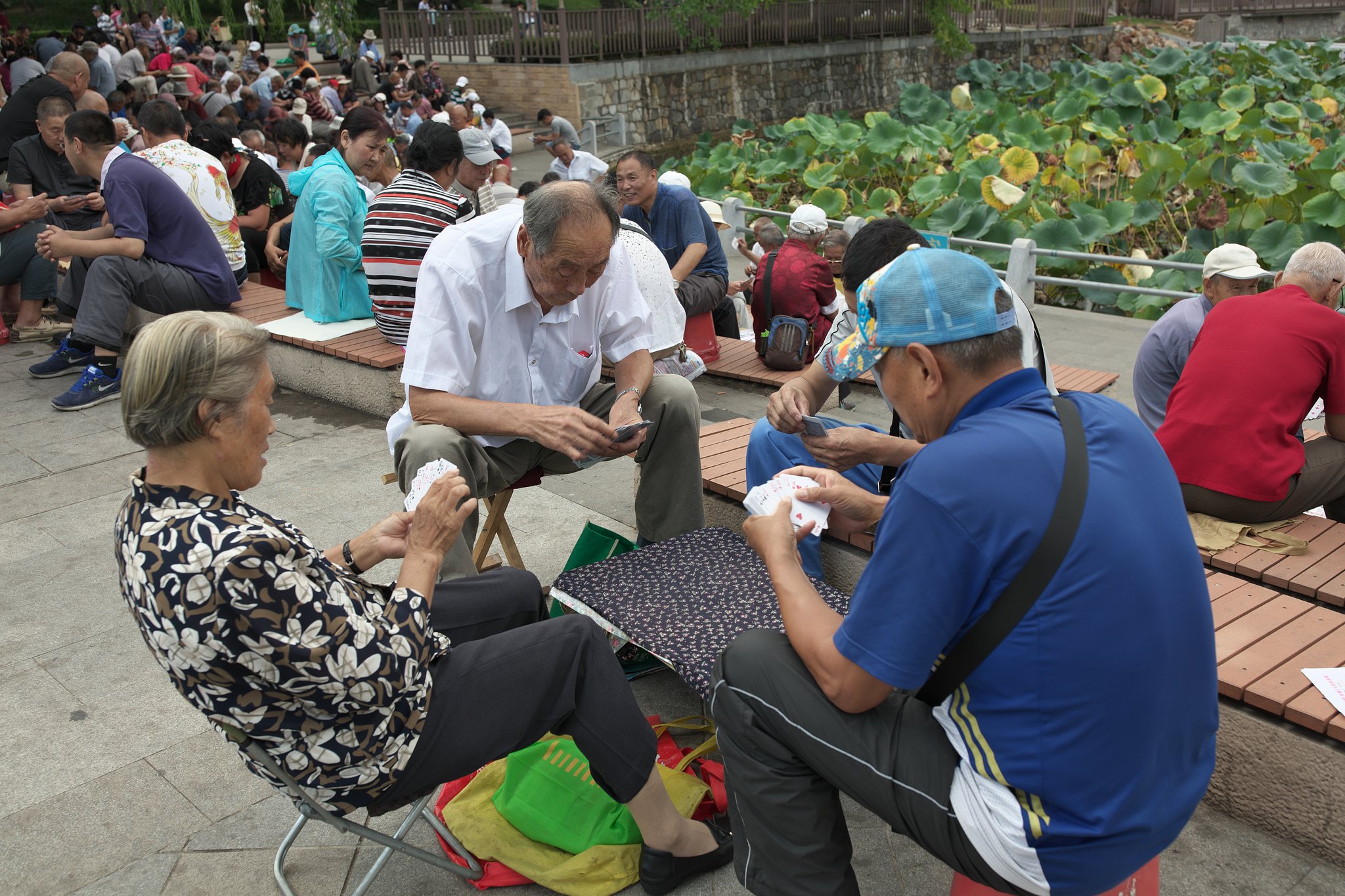 Playing cards