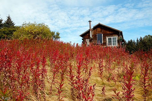 アラス感風景 4