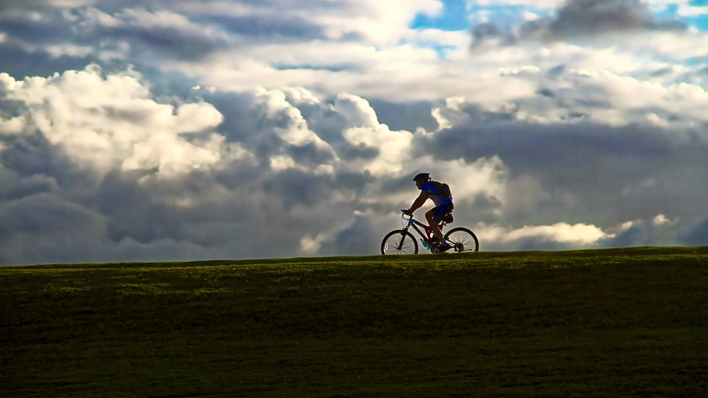 Cyclist