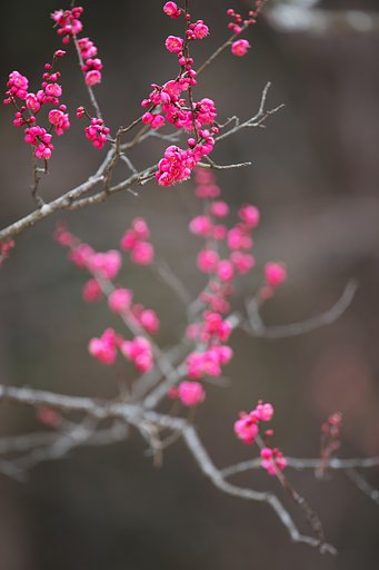 EF300mm F2.8L IS