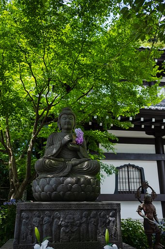 FUJINON XF23mm F2 R WR