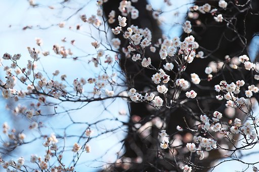 EF300mm F2.8L IS 