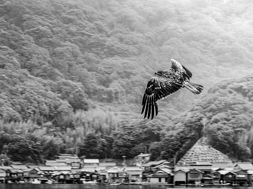 5月28日の写真