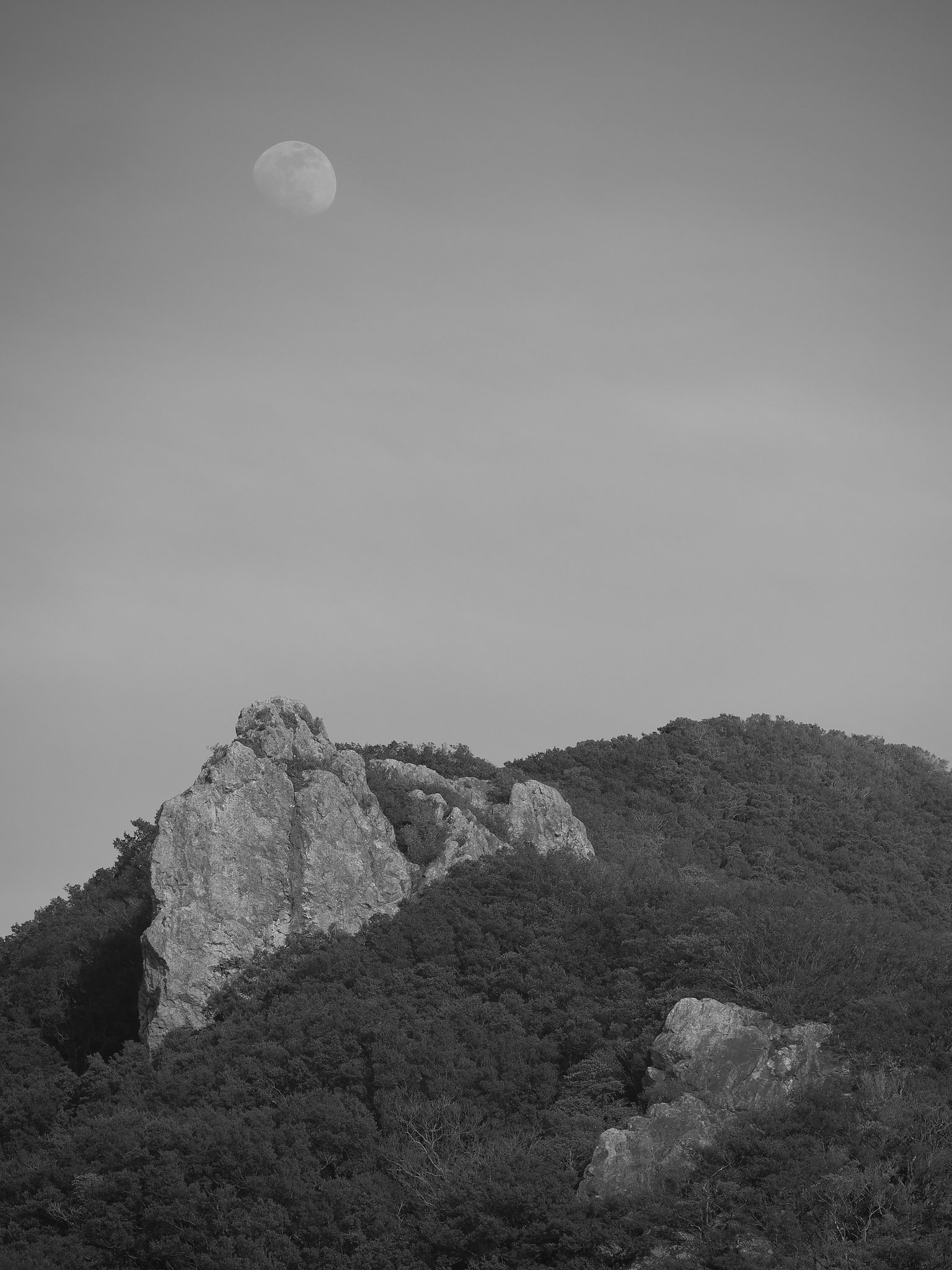 月が見ていた～寝姿山～