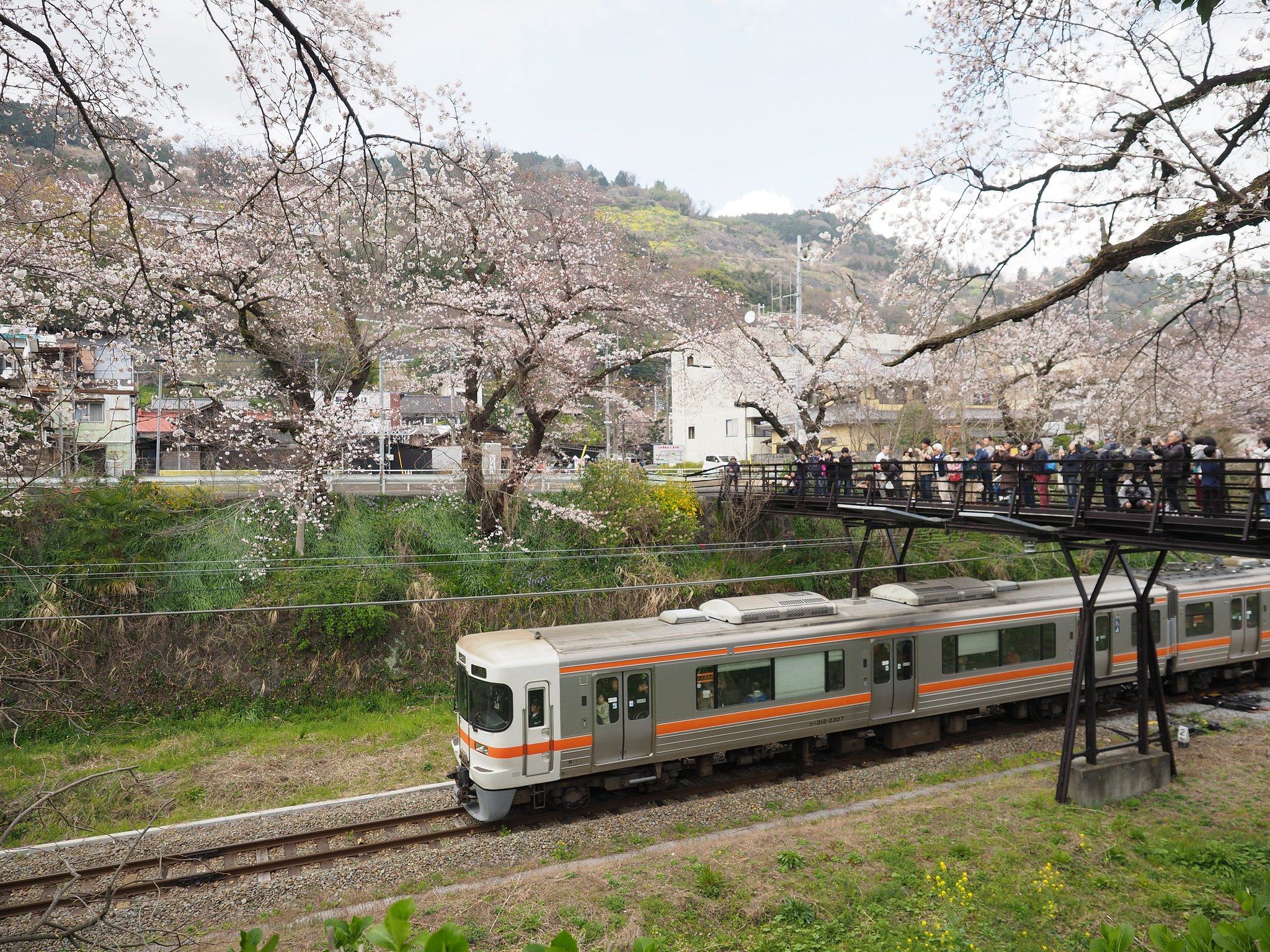 ◎M.ZUIKO DIGITAL ED 12-40mm/F2.8 PRO
