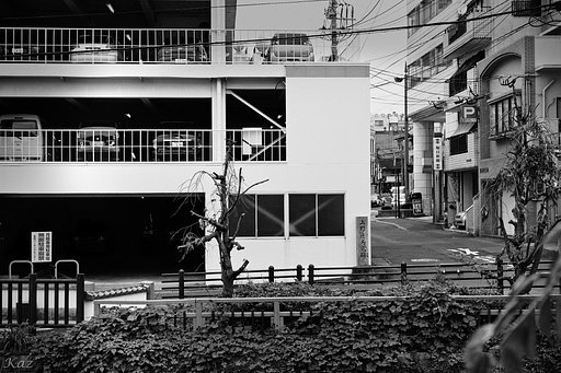 【白黒写真】原点