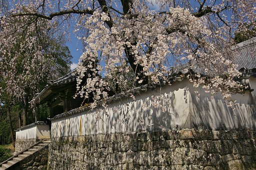 EF11-24mm F4L